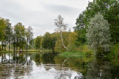 Жители Курской области рассказали о спасении от ВСУ в кустах и реке